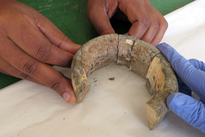 Pre-colonial ivory trade earlier than thought