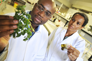 Prof Kelly Chibale and postdoctoral fellow Dr Denise Saravanakumar