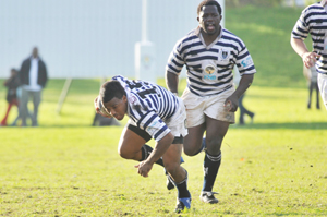 rugby