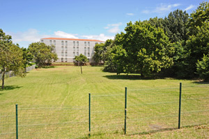 Netball courts