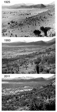 the extent of land cover change in the Grassland Biome near Queenstown