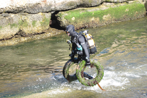 Divers clean up