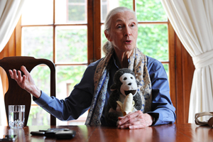 Dr Jane Goodall