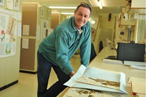 Bolus Herbarium