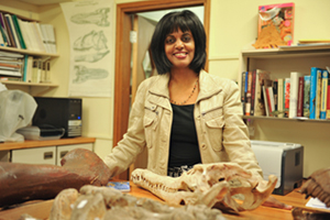 Palaeobiology Laboratory