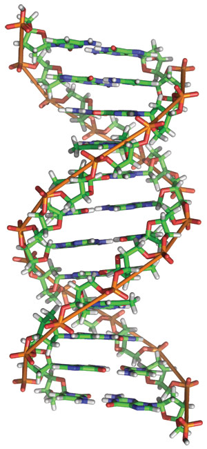 DNA