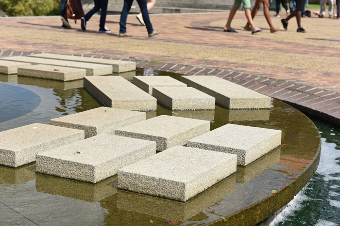 Jammie steps, as well as stones in the
fountain on Jammie Plaza, are classic examples of Cape granite.