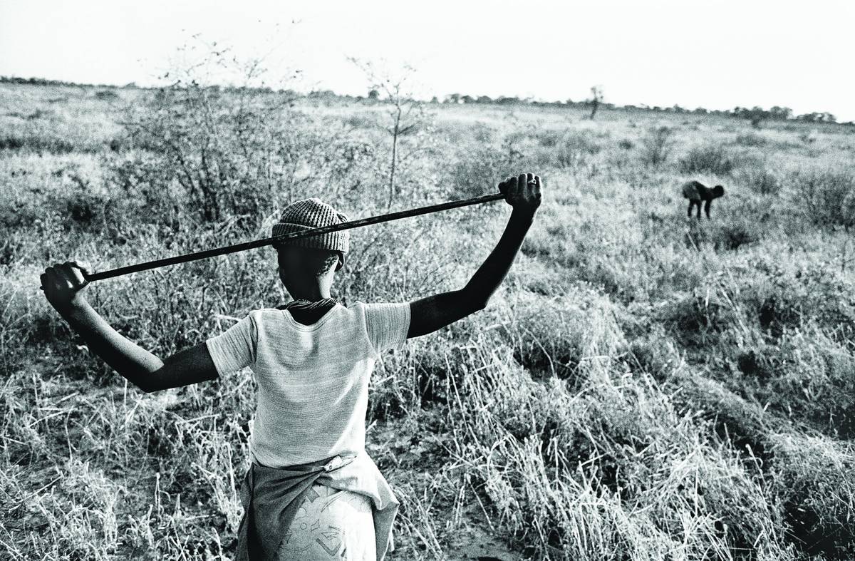 Gathering veld food, Namibia, 1986