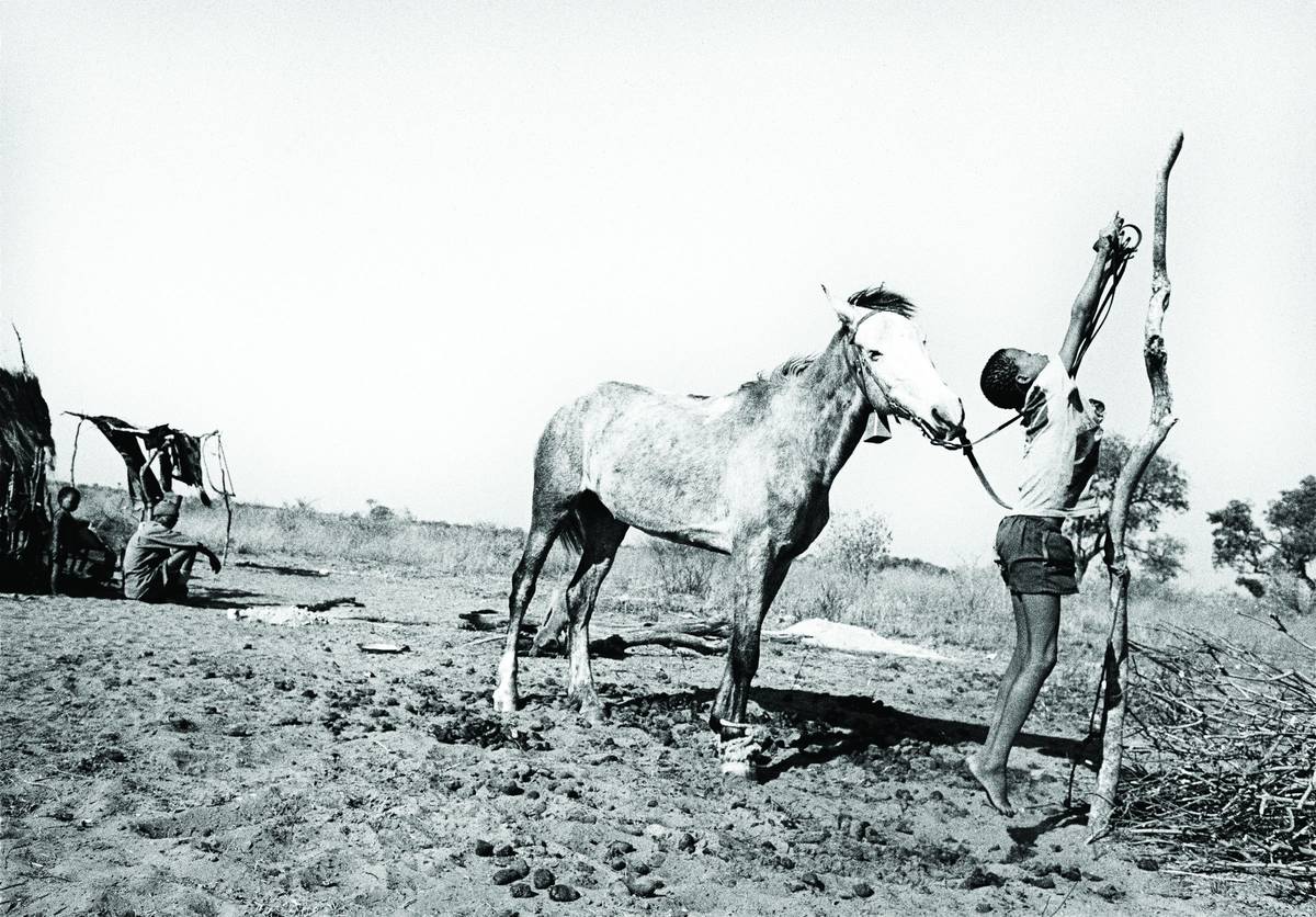 Bushmanland, Namibia, 1987