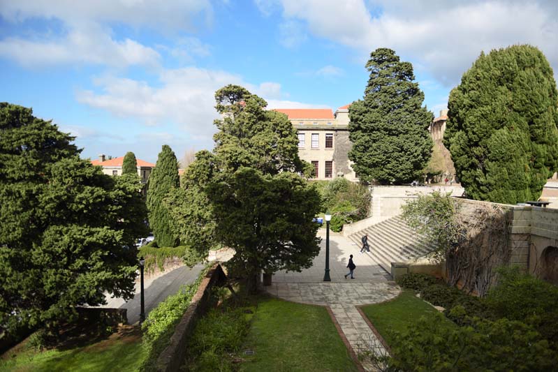 There are as many shades of green as there are steps on upper campus.