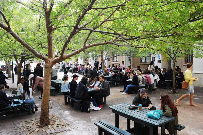 Cissy Gool plaza offers students a moment of rest under a canopy of green.