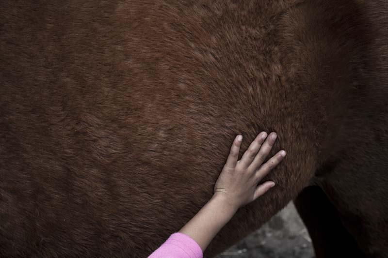 “For me, there is a sadness to this photograph… She obviously wasn’t sad when she was caressing the horse. It is actually a happy photograph, taken in a moment of excitement. But there is still that undertone of the need or absence of love, acceptance, healing and, essentially, hope, which is, in summary, the narrative the photobook intends to convey.”