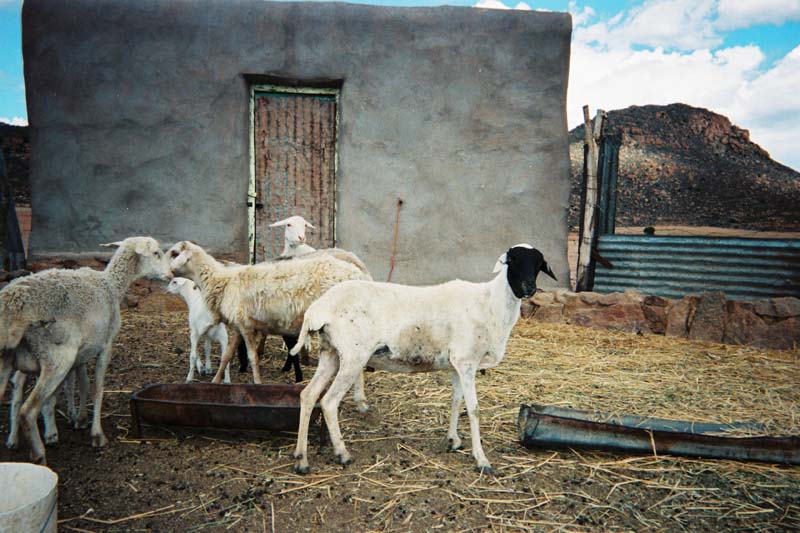 The granary at Windpoort, 2000. Photo Sophia Klaase.