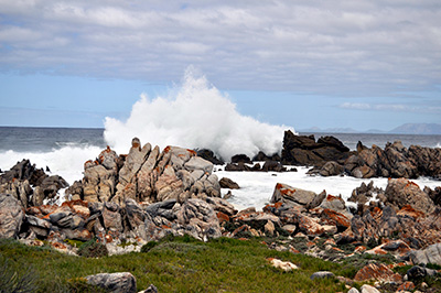 Rapid circulation is one of the factors that keeps False Bay’s water from stagnating.