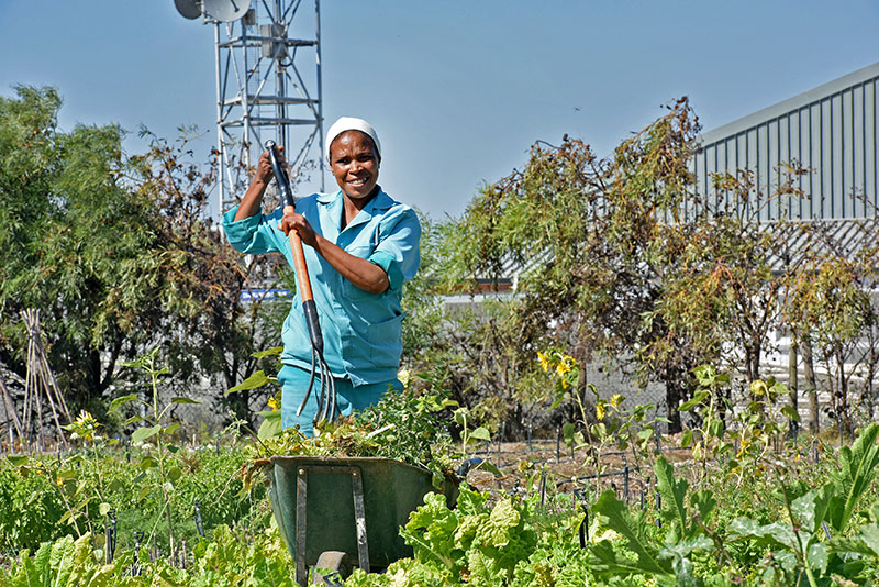 Philippi Horticultural Area