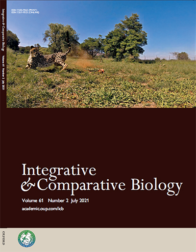 Amir Patel’s work highlighted on the cover of Integrative and Comparative Biology