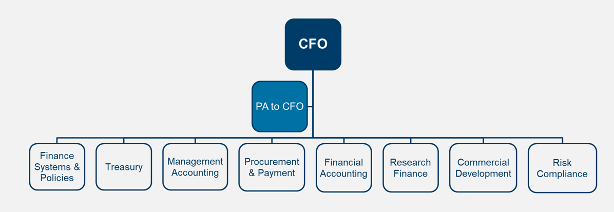 CFO role and department