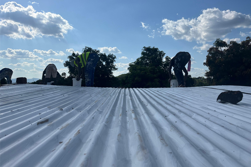 Roof painting