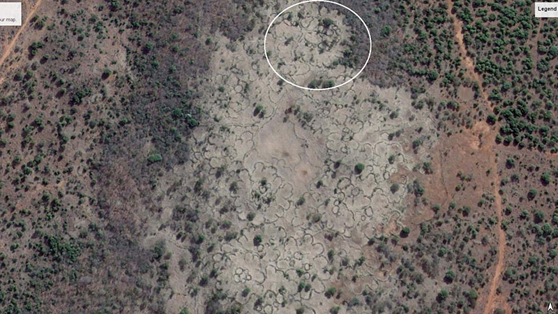 A Google Earth image of section A (marked on Image 1). The circle outlines a single homestead. The scalloped shaped walls are a circle of individual households that enclose the central cattle enclosures.