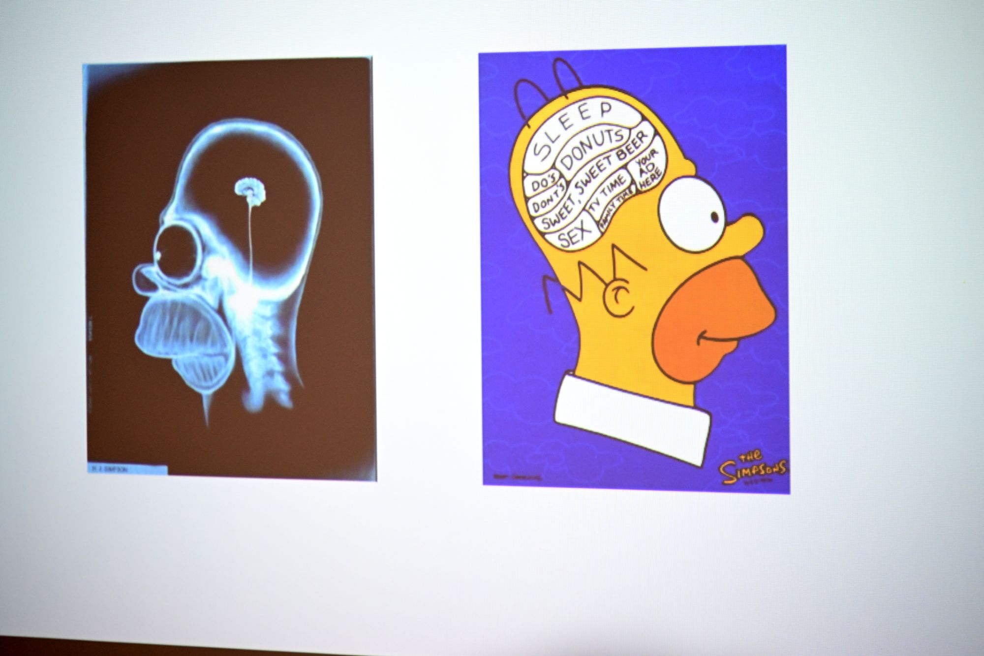 Campus Life 2026 - Your studies - Health Sciences