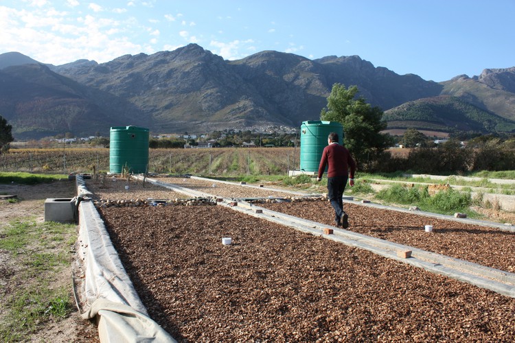 The Water Hub, Franshoek