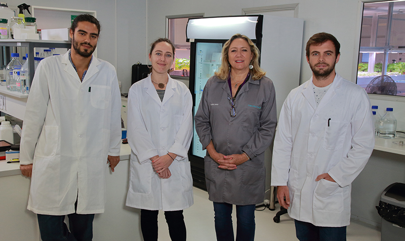 The team at Cape Bio Pharms (left to right): Francisco Pera, head of upstream research & development; Tamlyn Shaw, co-founder and chief scientific officer; Belinda Shaw, co-founder and CEO; Scott de Beer, head of downstream research & development. Photo supplied.